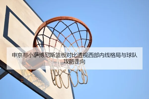申京与小萨博尼斯篮板对比透视西部内线格局与球队攻防走向